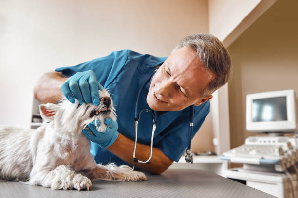 Best 24-Hour Dental Clinic Near Me  in Crooked Lake Park, FL